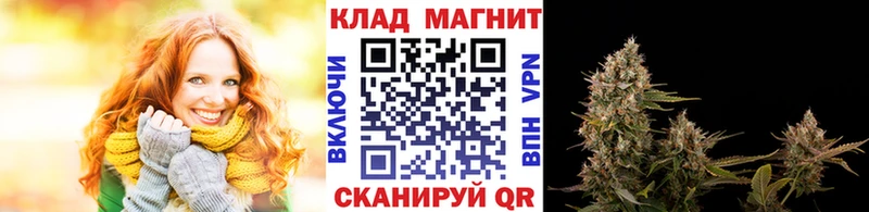 Где купить наркотики Балей КОКАИН  Метадон  МЕФ  Галлюциногенные грибы  Гашиш  Каннабис 