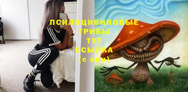 прущая мука Аркадак