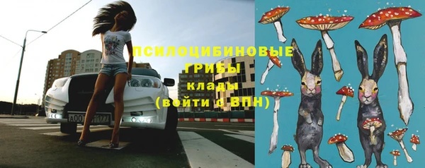прущая мука Аркадак