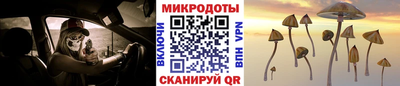 где продают   Балей  гидра   Псилоцибиновые грибы мицелий 